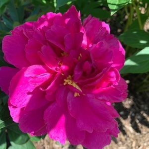 Meet your Posher, Seri